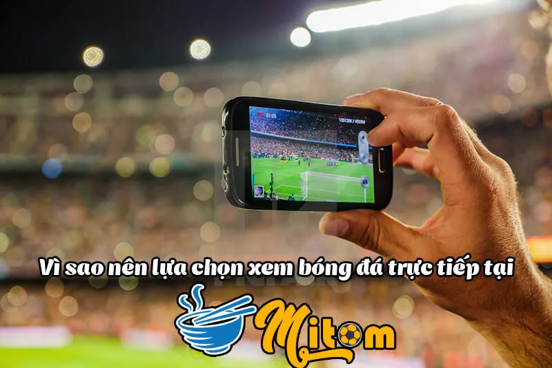 Lựa chọn xem tại mitom tv trực tiếp bóng đá luôn được ưu tiên