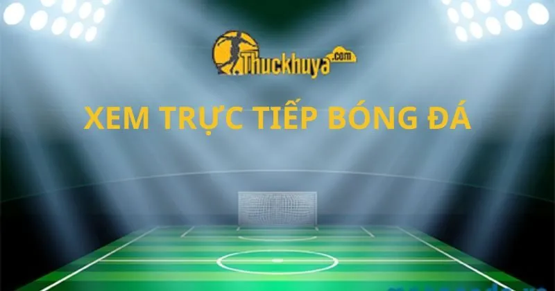 Thuckhuya TV thu hút sự quan tâm siêu khủng từ người xem